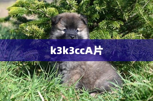 k3k3ccA片