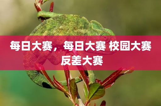 每日大赛，每日大赛 校园大赛 反差大赛