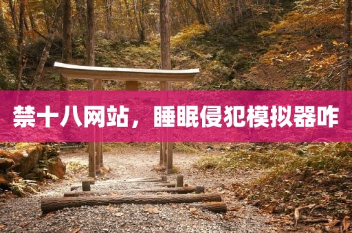 禁十八网站，睡眠侵犯模拟器咋