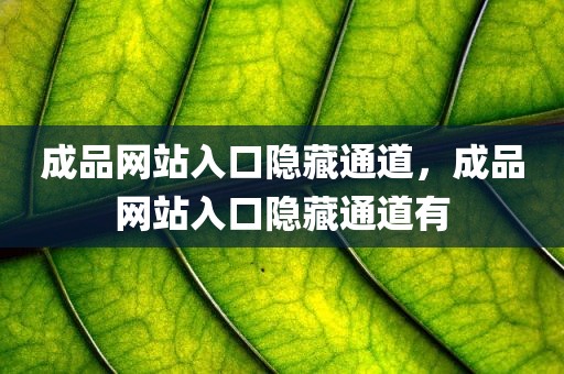 成品网站入口隐藏通道，成品网站入口隐藏通道有
