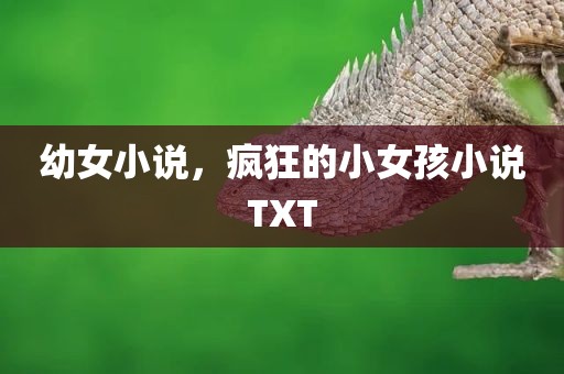 幼女小说，疯狂的小女孩小说TXT