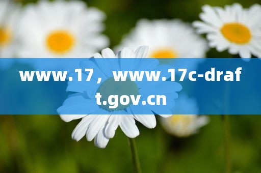 www.17，www.17c-draft.gov.cn