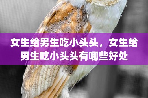 女生给男生吃小头头，女生给男生吃小头头有哪些好处