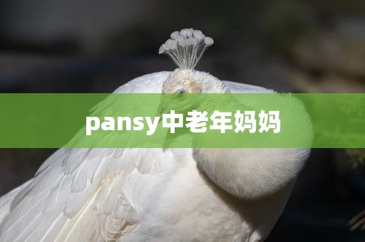 pansy中老年妈妈