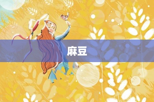 麻豆