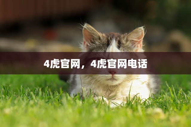 4虎官网，4虎官网电话