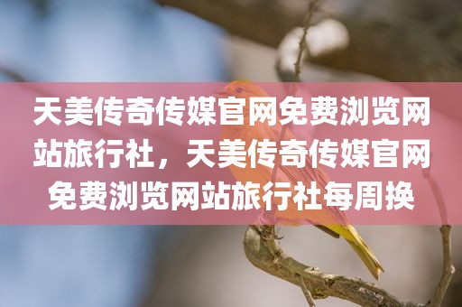 天美传奇传媒官网免费浏览网站旅行社，天美传奇传媒官网免费浏览网站旅行社每周换