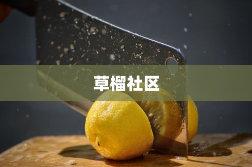 草榴社区