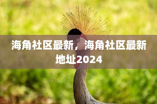 海角社区最新，海角社区最新地址2024
