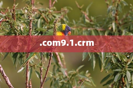 .com9.1.crm