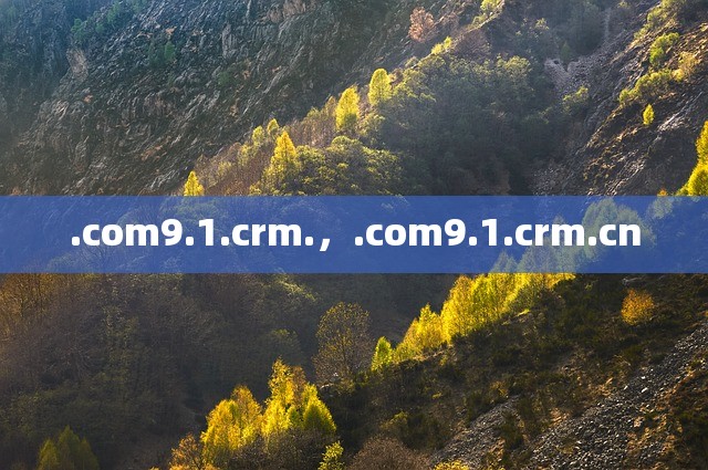 .com9.1.crm.，.com9.1.crm.cn