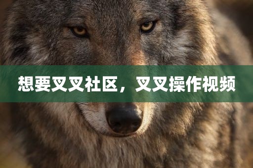 想要叉叉社区，叉叉操作视频