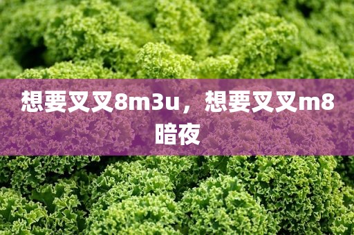 想要叉叉8m3u，想要叉叉m8暗夜