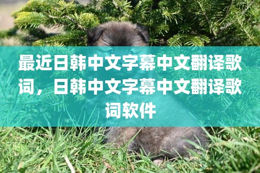 最近日韩中文字幕中文翻译歌词，日韩中文字幕中文翻译歌词软件