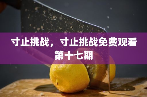 寸止挑战，寸止挑战免费观看第十七期