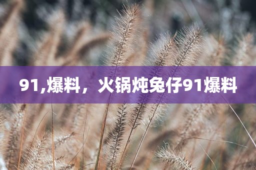 91,爆料，火锅炖兔仔91爆料