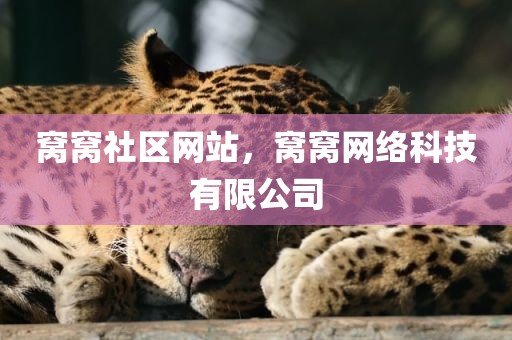 窝窝社区网站，窝窝网络科技有限公司