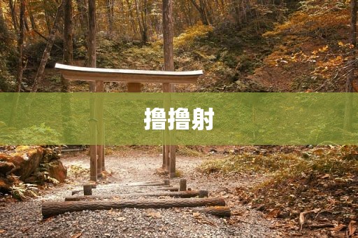 撸撸射