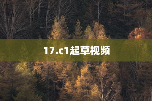 17.c1起草视频