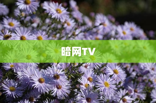 暗网TV