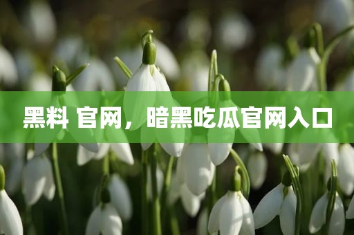 黑料 官网，暗黑吃瓜官网入口