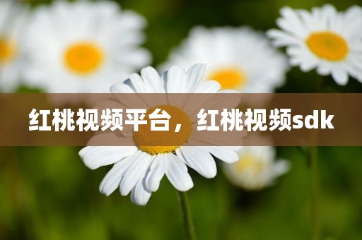 红桃视频平台，红桃视频sdk