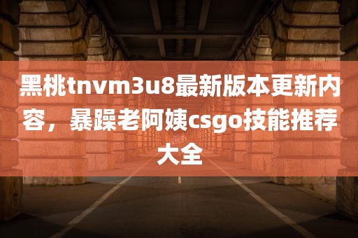 黑桃tnvm3u8最新版本更新内容，暴躁老阿姨csgo技能推荐大全