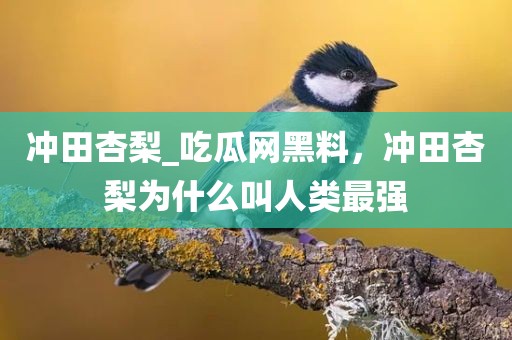 冲田杏梨_吃瓜网黑料，冲田杏梨为什么叫人类最强