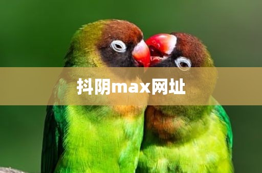 抖阴max网址