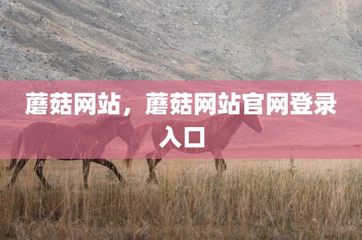 蘑菇网站，蘑菇网站官网登录入口