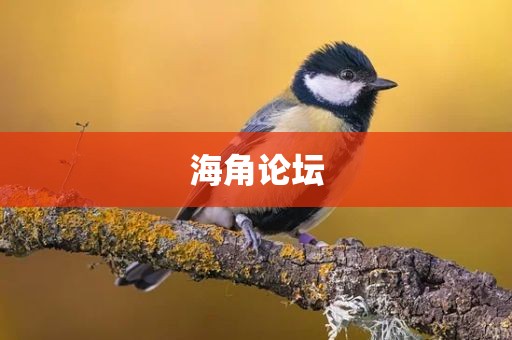 海角论坛