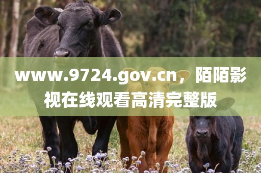 www.9724.gov.cn，陌陌影视在线观看高清完整版