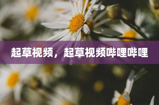 起草视频，起草视频哔哩哔哩