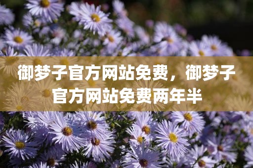 御梦子官方网站免费，御梦子官方网站免费两年半