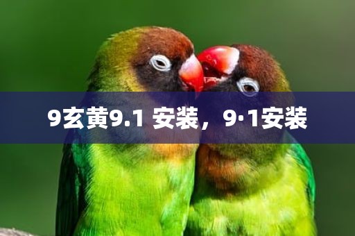 9玄黄9.1 安装，9·1安装