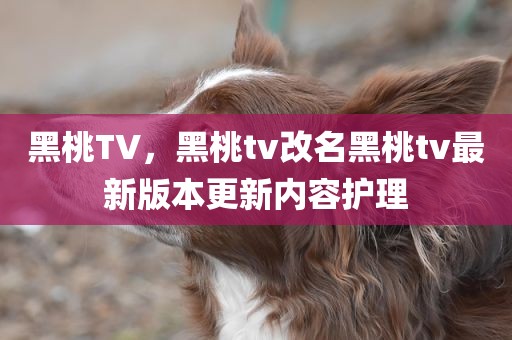 黑桃TV，黑桃tv改名黑桃tv最新版本更新内容护理