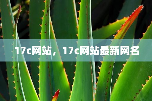 17c网站，17c网站最新网名