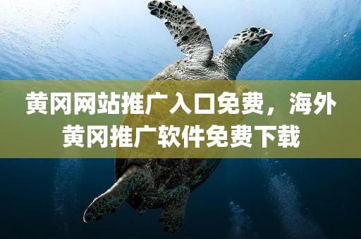 黄冈网站推广入口免费，海外黄冈推广软件免费下载