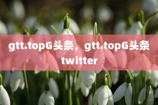 gtt.topG头条，gtt.topG头条twitter
