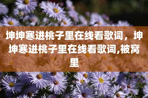 坤坤寒进桃子里在线看歌词，坤坤寒进桃子里在线看歌词,被窝里