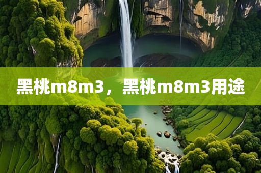 黑桃m8m3，黑桃m8m3用途
