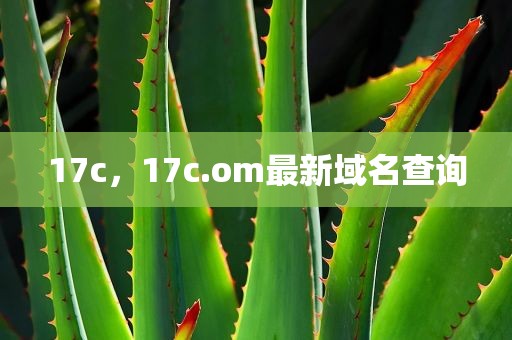 17c，17c.om最新域名查询
