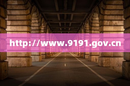 http://www.9191.gov.cn