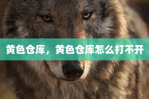 黄色仓库，黄色仓库怎么打不开