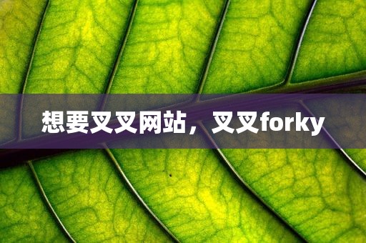 想要叉叉网站，叉叉forky