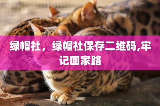 绿帽社，绿帽社保存二维码,牢记回家路