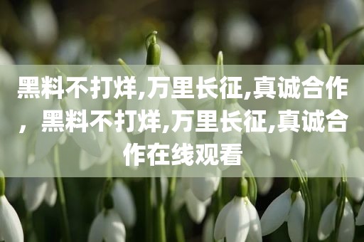 黑料不打烊,万里长征,真诚合作，黑料不打烊,万里长征,真诚合作在线观看