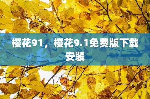 樱花91，樱花9.1免费版下载安装