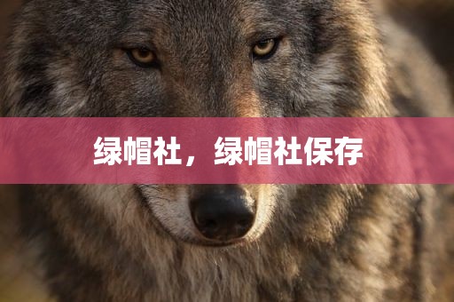 绿帽社，绿帽社保存