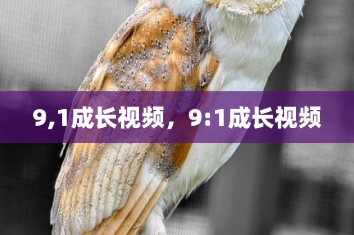 9,1成长视频，9:1成长视频